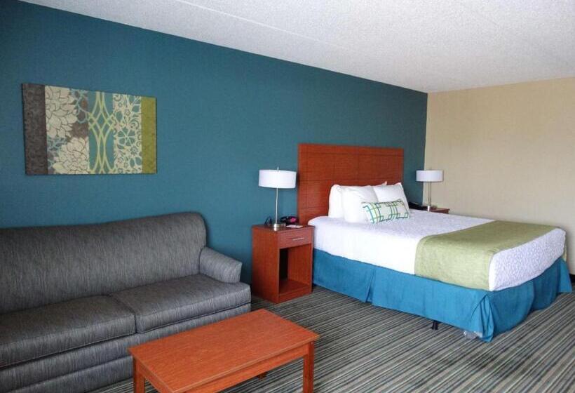 غرفة قياسية سرير كينج لذوى الإحتياجات الخاصة, Best Western Warren