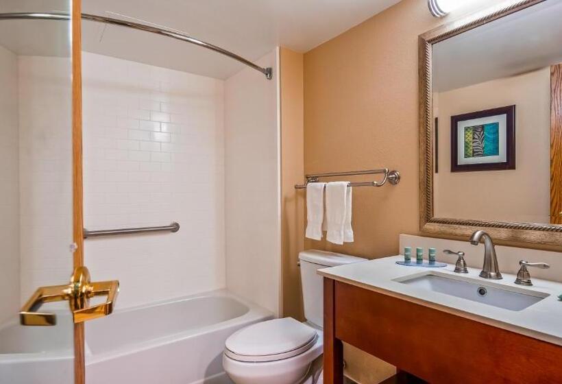 غرفة قياسية لذوى الاحتياجات الخاصة, Best Western Warren