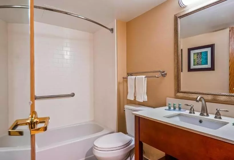 身障者適用スタンダードルーム, Best Western Warren