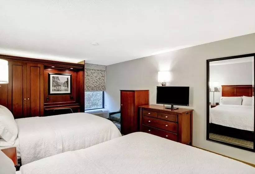 اتاق استاندارد با 2 تخت دوبل, Hampton Inn Beckley