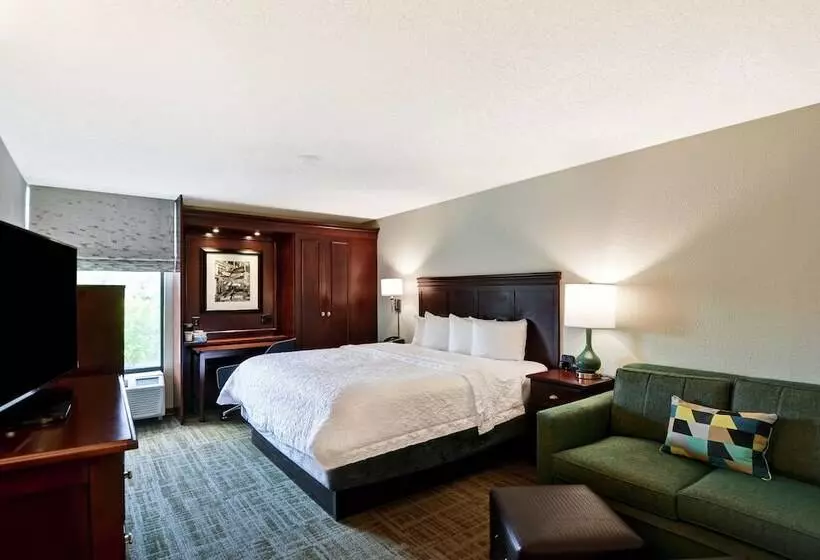 ダブルベッドのスタンダードスタジオ, Hampton Inn Charlotte Gastonia