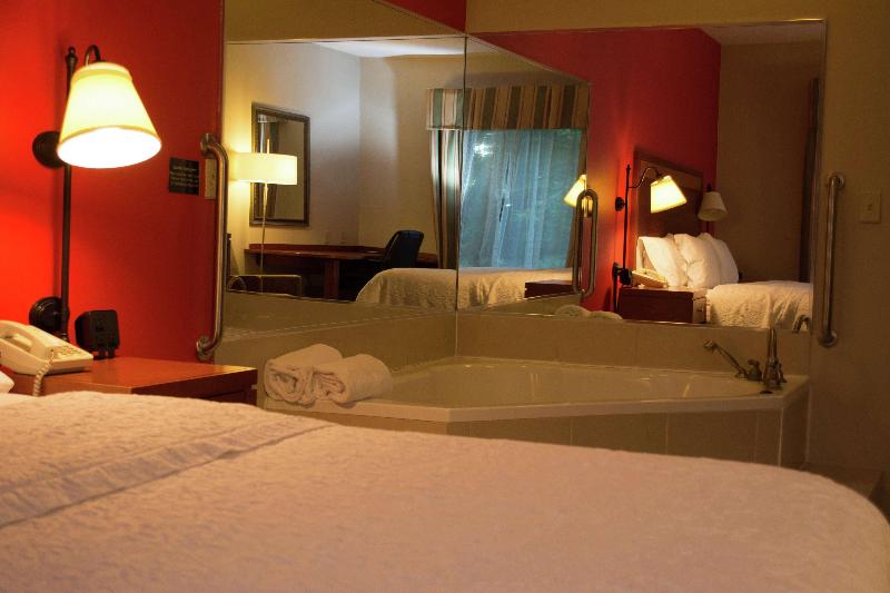 Стандартный Номер Кровать Кинг, Hampton Inn Harrisonburg   University