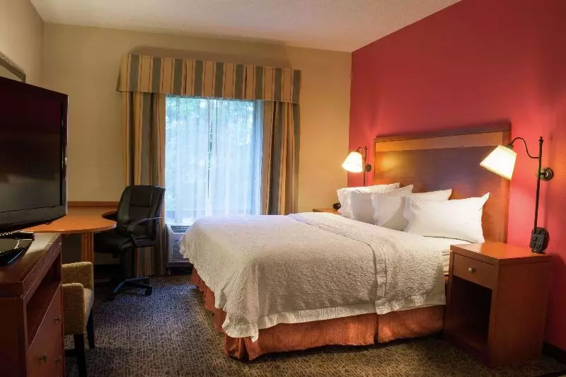 キングサイズベッドのスタンダードルーム, Hampton Inn Harrisonburg   University