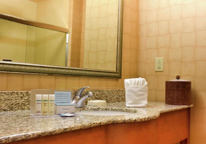 带大床的标准间, Hampton Inn Harrisonburg   University