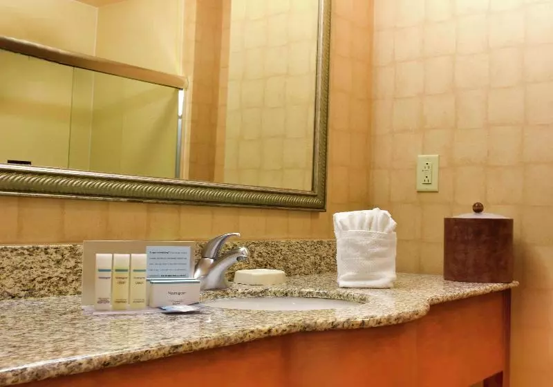 キングサイズベッドのスタンダードルーム, Hampton Inn Harrisonburg   University