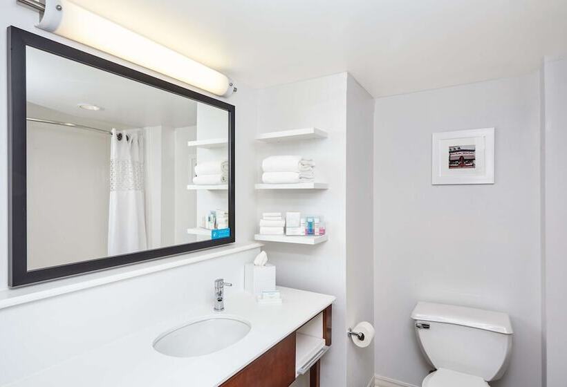 اتاق استاندارد برای معلولان, Hampton Inn Lafayette