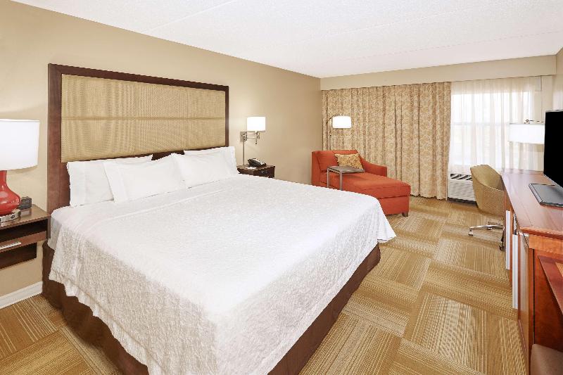 キングサイズベッドのスタンダードルーム, Hampton Inn Lafayette