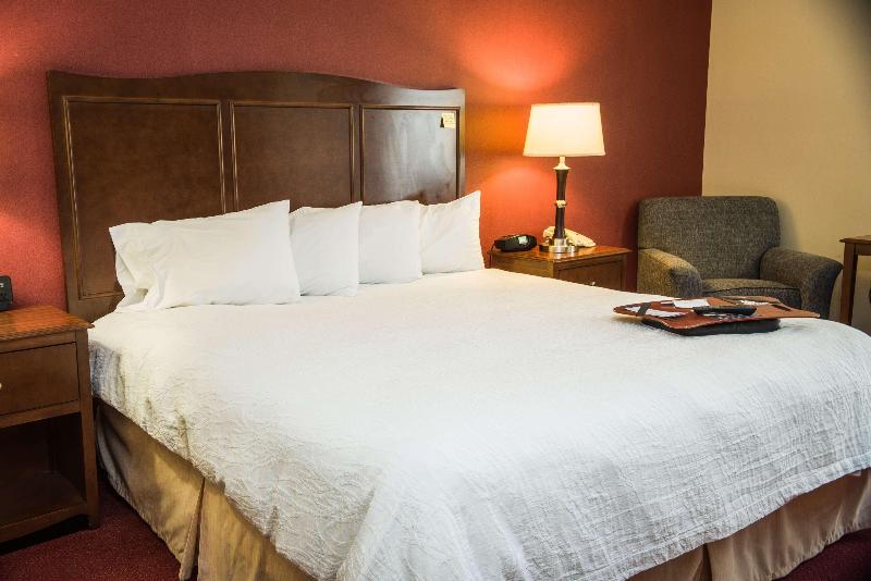 キングサイズベッドのスタンダードルーム, Hampton Inn Lexington/georgetown