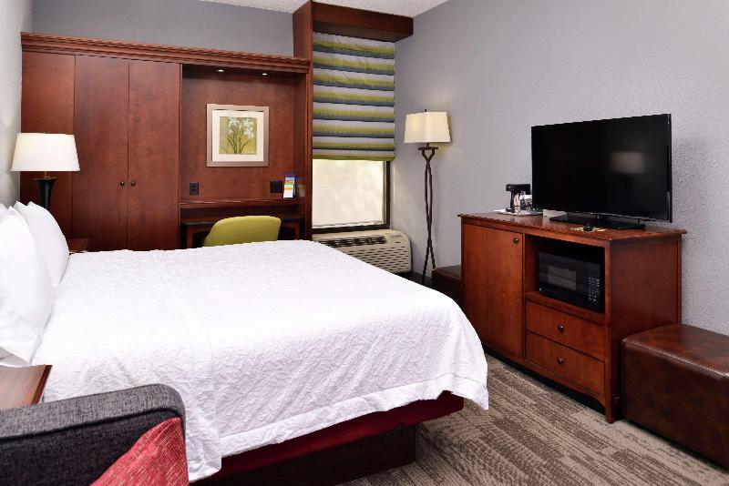 스탠다드 룸 킹사이즈 침대, Hampton Inn Norfolk/virginia Beach