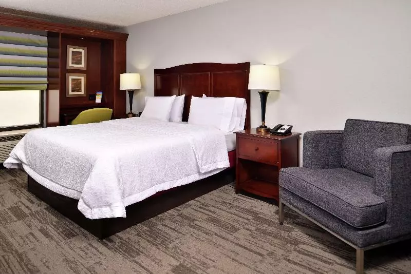 اتاق استاندارد با تخت بزرگ, Hampton Inn Norfolk/virginia Beach