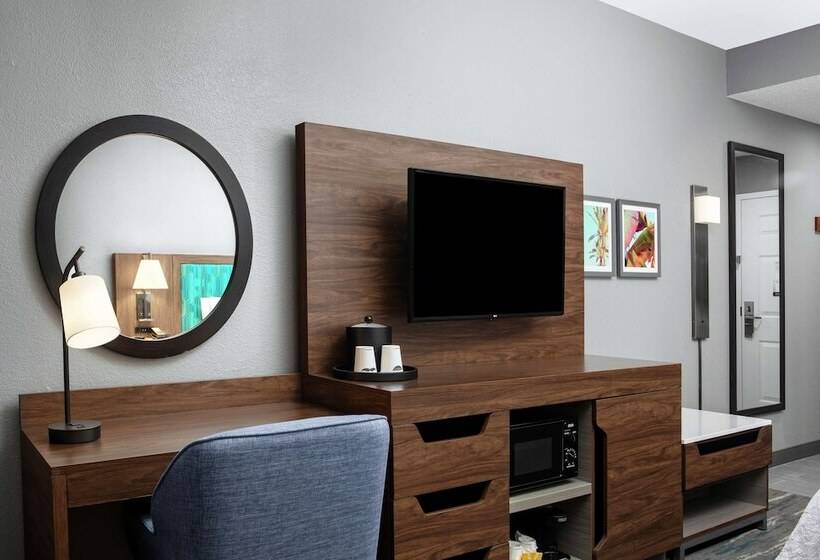 스탠다드 룸, Hampton Inn Orlando/lake Buena Vista