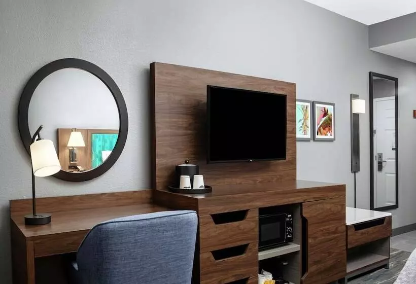 اتاق استاندارد, Hampton Inn Orlando/lake Buena Vista