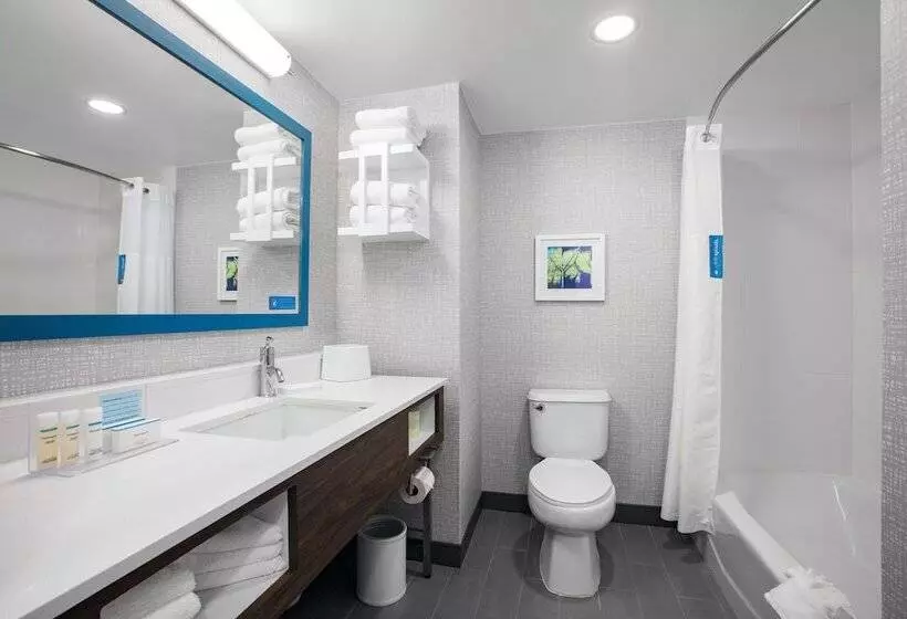 اتاق استاندارد, Hampton Inn Orlando/lake Buena Vista