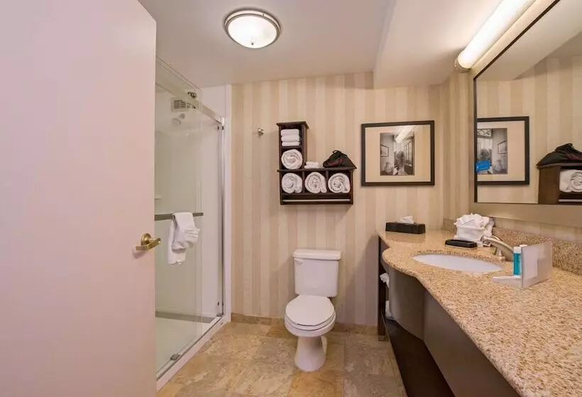 اتاق استاندارد, Hampton Inn Portsmouth Central