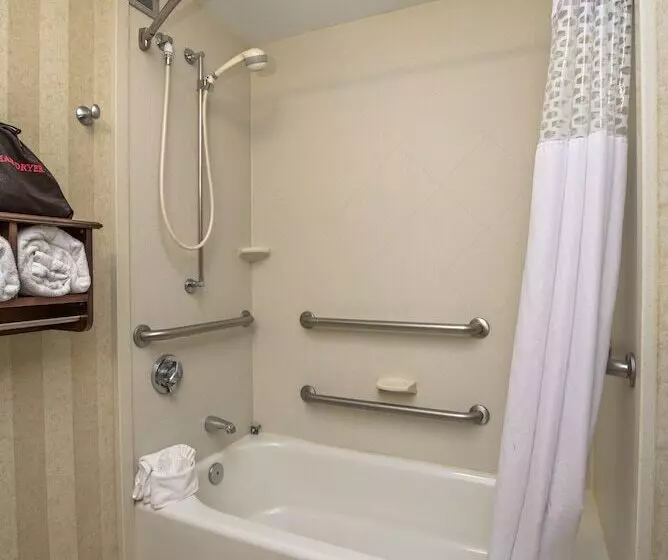 اتاق استاندارد برای معلولان, Hampton Inn Portsmouth Central