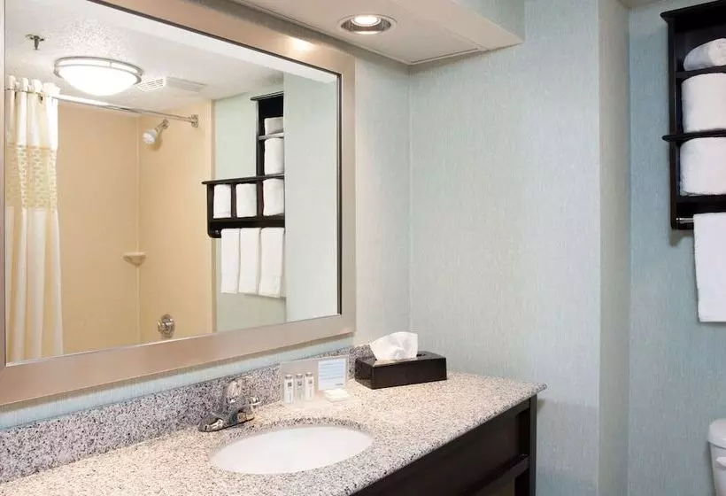 スイート, Hampton Inn And Suites Kokomo