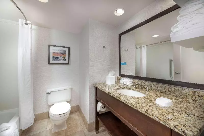 キングサイズベッドのスタンダードルーム, Hampton Inn Tuscaloosaeast