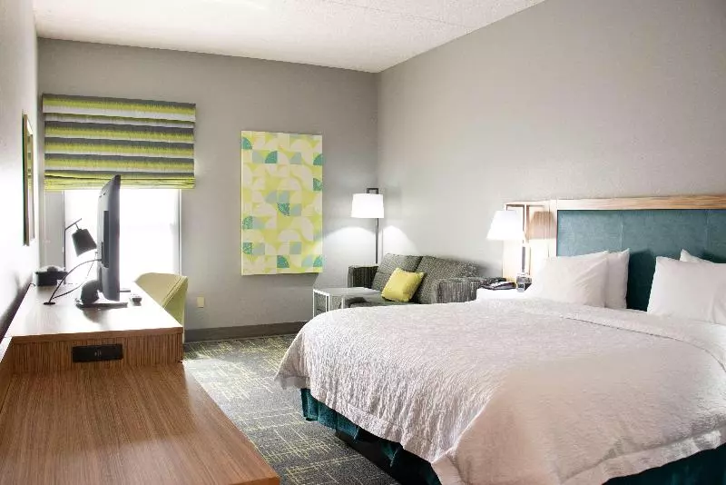 キングサイズベッドのスタンダードルーム, Hampton Inn Tuscaloosaeast