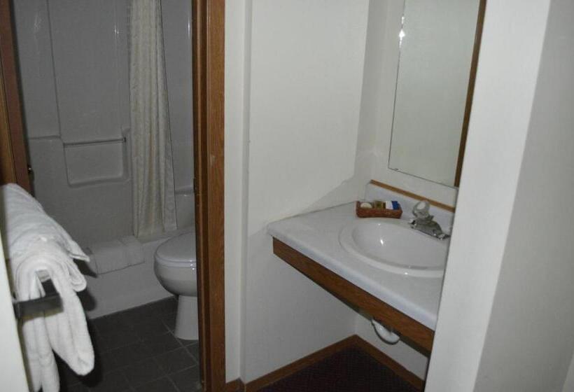 Стандартный Номер Кровать Кинг, Roosevelt Inn Mount Rushmore