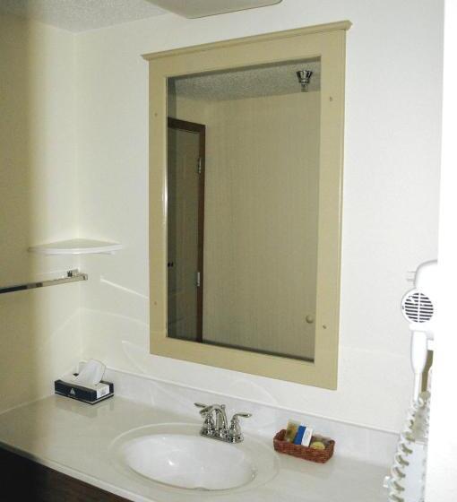 Номер Стандарт, Roosevelt Inn Mount Rushmore