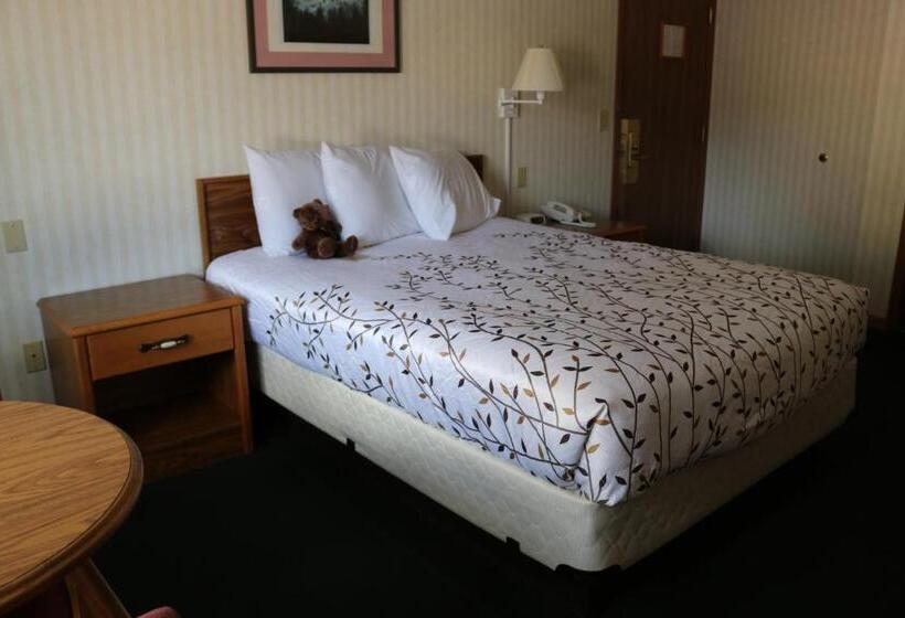 Номер Стандарт, Roosevelt Inn Mount Rushmore