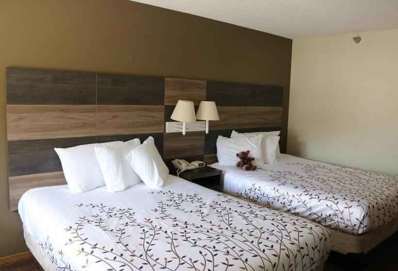 Номер Superior, Roosevelt Inn Mount Rushmore