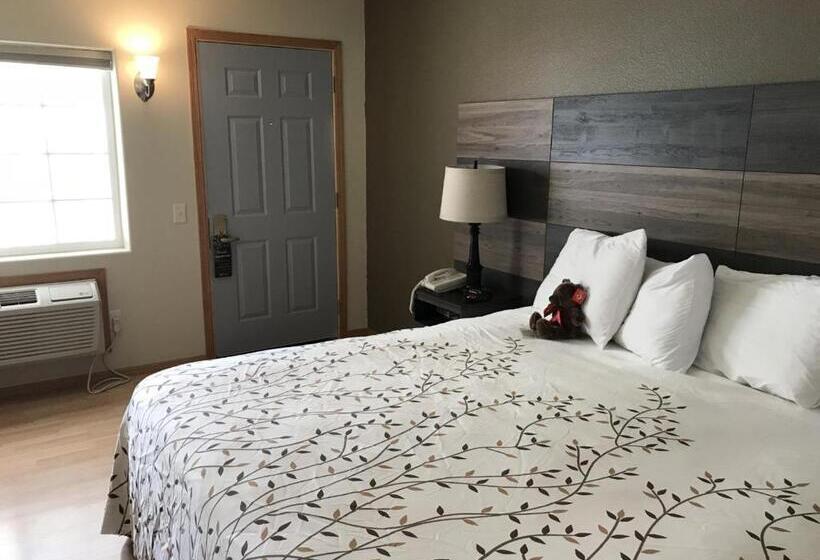 Номер Стандарт Кровать Кинг Адаптированный для Инвалидов, Roosevelt Inn Mount Rushmore