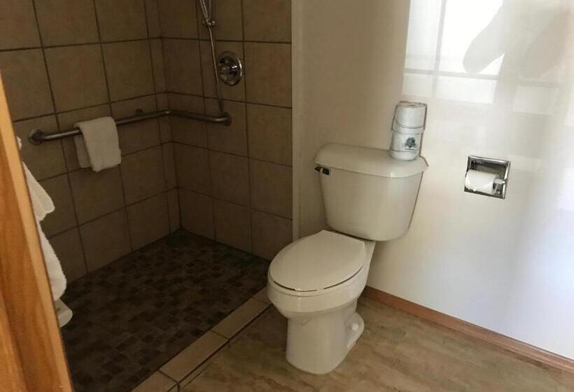 Номер Стандарт Кровать Кинг Адаптированный для Инвалидов, Roosevelt Inn Mount Rushmore