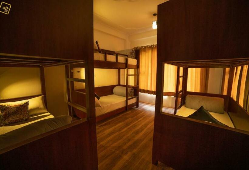 تختخواب در اتاق مشترک, Alt Life Manali