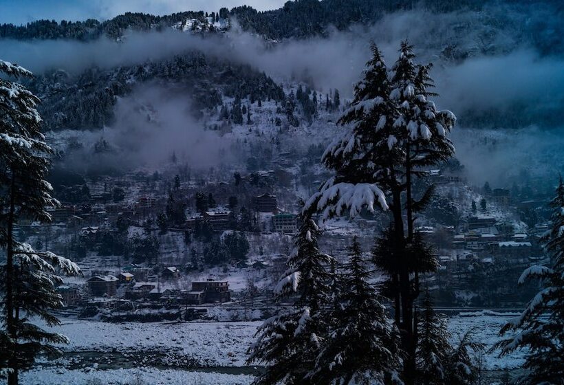 تختخواب در اتاق مشترک, Alt Life Manali
