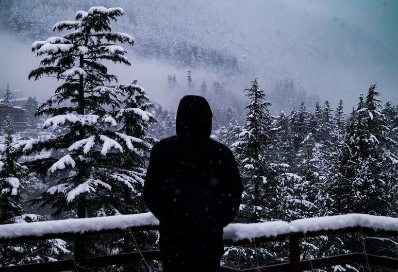اتاق لوکس, Alt Life Manali