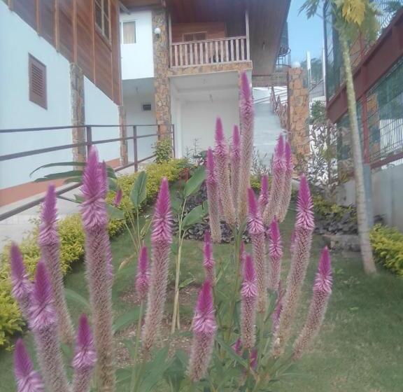 اتاق استاندارد با چشمانداز دریا, Domus Guesthouse