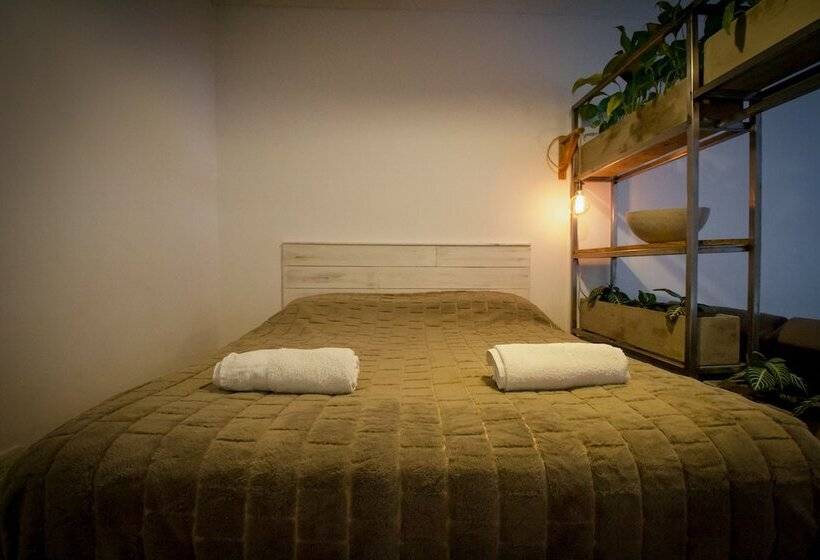 آپارتمان 1 خوابه, Apart Dorrego