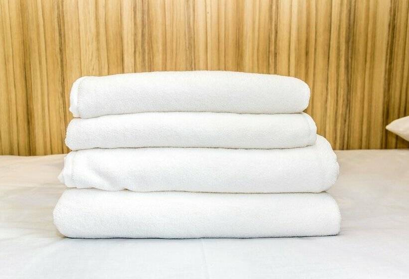 تختخواب در اتاق مشترک, Bixbite   Hostel