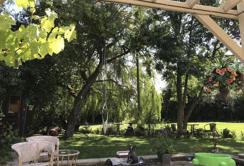 إستوديو ديلوكس, Old Thatch Bambers Green