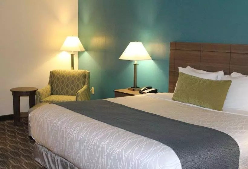 身障者適用スイートルーム, Best Western Plus Yadkin Valley Inn & Suites