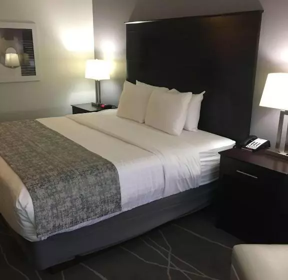 اتاق استاندارد با تخت بزرگ برای معلولان, West Valley Inn