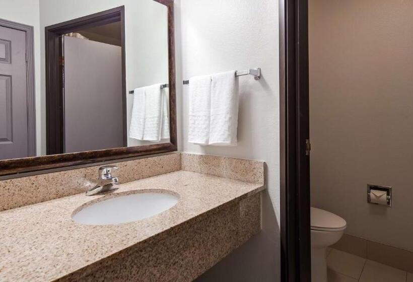 适合残疾人士使用的带超级大床的标准间, West Valley Inn