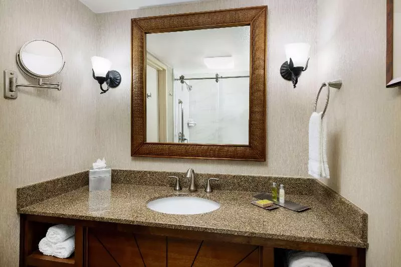 シングルデラックスルーム, Doubletree Beach Resort By Hilton Tampa Bay   North Redingto
