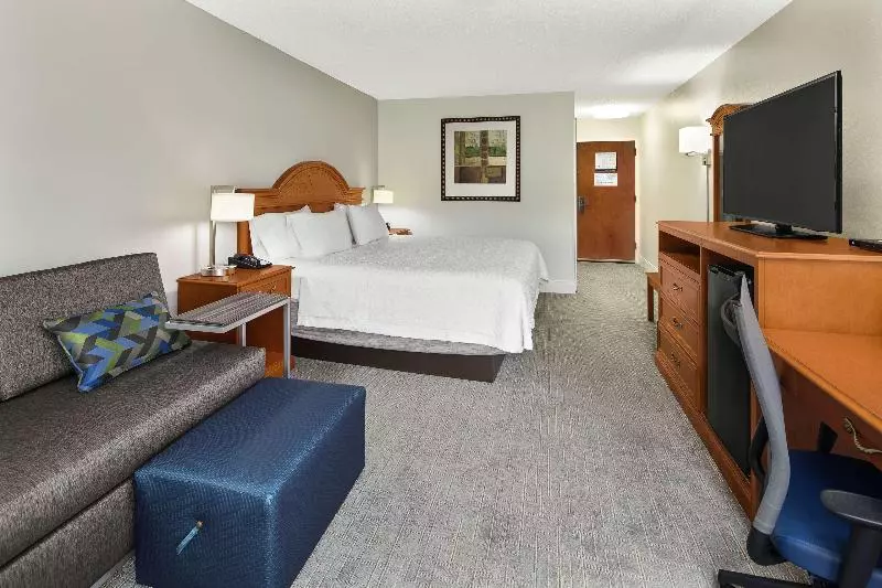 キングサイズベッドのスタンダードルーム, Hampton Inn Atlanta   Newnan