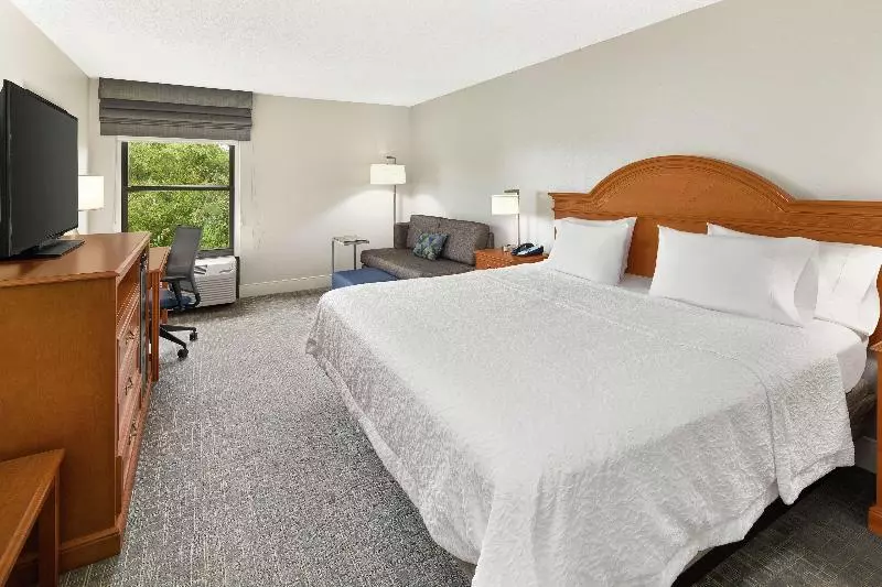 キングサイズベッドのスタンダードルーム, Hampton Inn Atlanta   Newnan