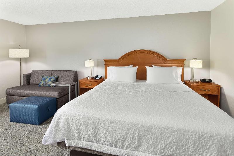 غرفة قياسية سرير كينج, Hampton Inn Atlanta   Newnan
