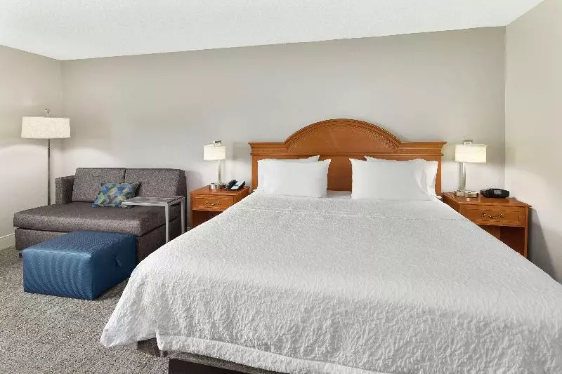 キングサイズベッドのスタンダードルーム, Hampton Inn Atlanta   Newnan