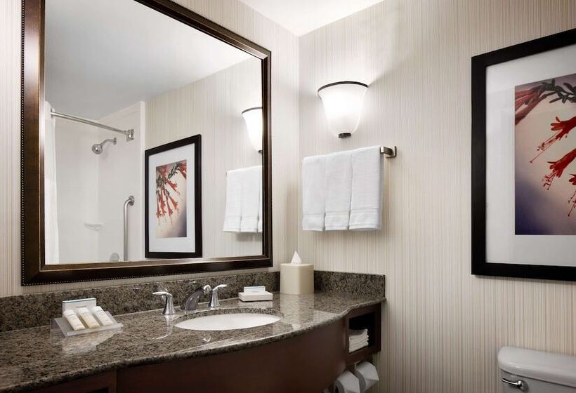 İki Çift Kişilik Yataklı Standart Oda, Hilton Garden Inn Denver South Park Meadows Area