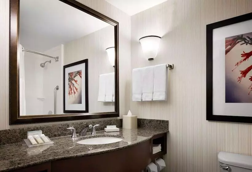 ２ダブルベッドのスタンダードルーム, Hilton Garden Inn Denver South Park Meadows Area