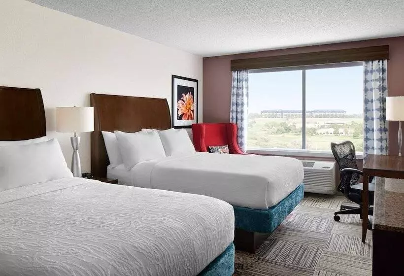 ２ダブルベッドのスタンダードルーム, Hilton Garden Inn Denver South Park Meadows Area
