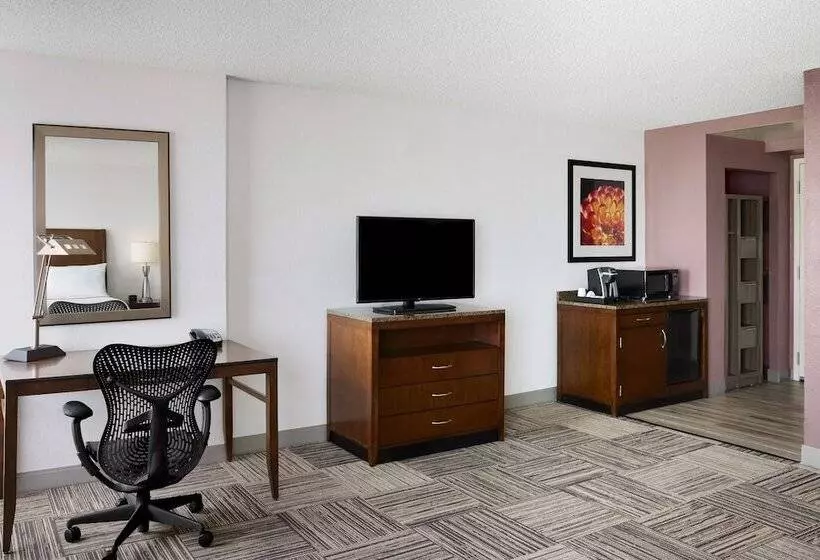２ダブルベッドのスタンダードルーム, Hilton Garden Inn Denver South Park Meadows Area