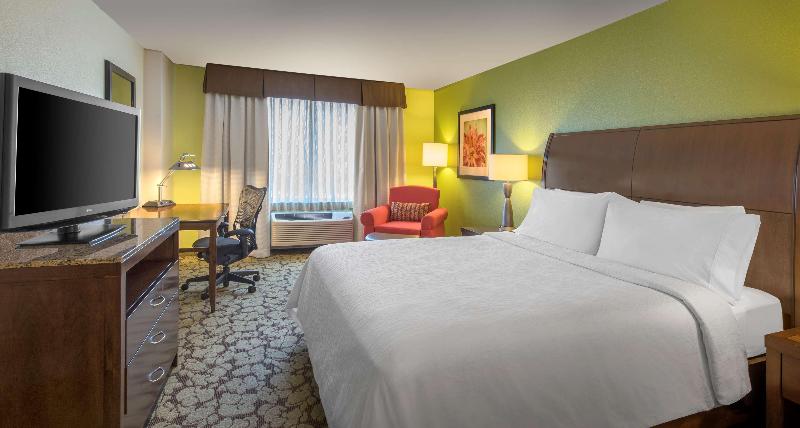 Büyük Çift Kişilik Yataklı Standart Oda, Hilton Garden Inn Denver South Park Meadows Area
