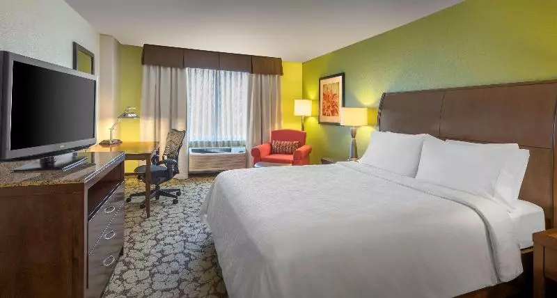 キングサイズベッドのスタンダードルーム, Hilton Garden Inn Denver South Park Meadows Area
