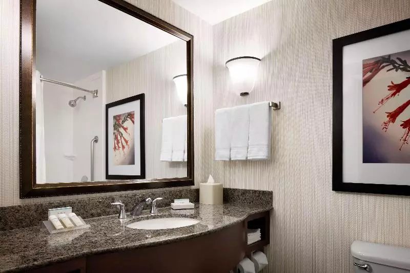 キングサイズベッドのスタンダードルーム, Hilton Garden Inn Denver South Park Meadows Area